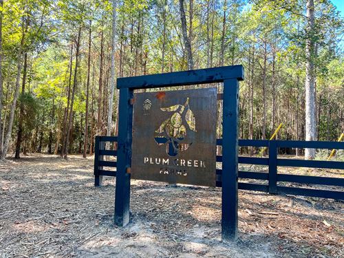 11 Acres, FM 350, T-1, Plum Cree : West Livingston : Polk County : Texas