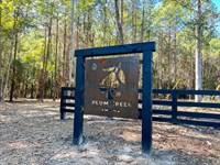 11 Acres, FM 350, T-13, Plum Cre : West Livingston : Polk County : Texas