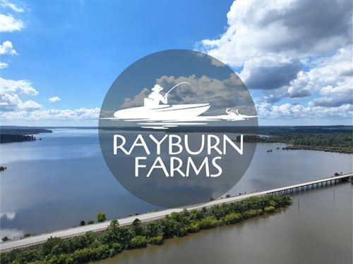 5 Acres, T-4, Highway 103 : San Augustine : Texas