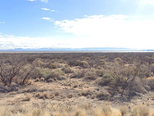 Bird Watching at Willcox Playa : Cochise : Arizona