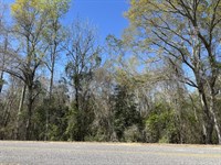 County Road 47 Lot 1 Pike Co. AL : Goshen : Pike County : Alabama