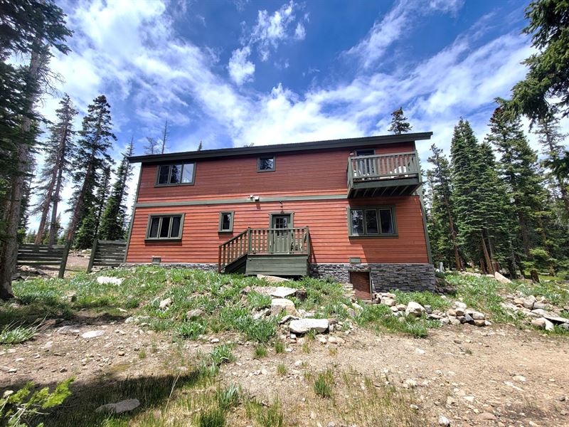 Mountain Modern Home : Fairplay : Park County : Colorado