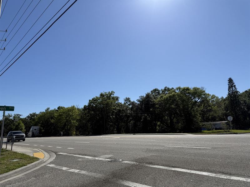 Berkley Road Commercial Land Oppt : Auburndale : Polk County : Florida