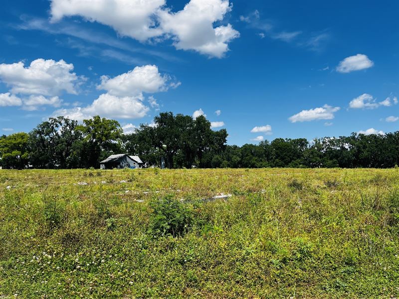 Plant City East Trapnell Transition : Plant City : Hillsborough County : Florida
