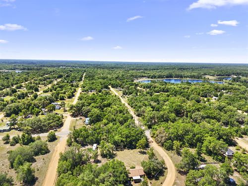 Own Land Next to County for $253/Mo : Interlachen : Putnam County : Florida