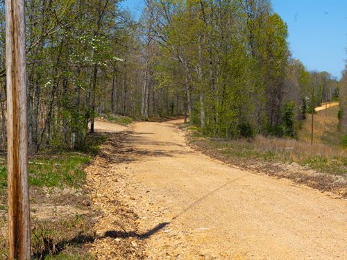 Multiple Tracts, $999 Down : Mammoth Spring : Fulton County : Arkansas