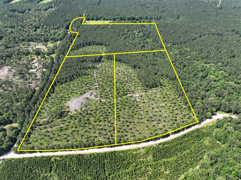 16 Acres, T-38, Groveton Flat Pra : Groveton : Trinity County : Texas