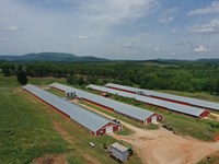 Preice Reduced, Solid Rock Farm : Lineville : Clay County : Alabama