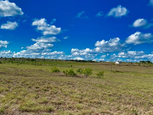 4+ Acre Homestead Near Austin : Beyersville : Williamson County : Texas