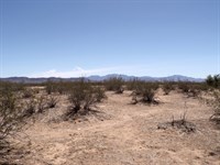 Secure Your Perfect Investment : Golden Valley : Mohave County : Arizona