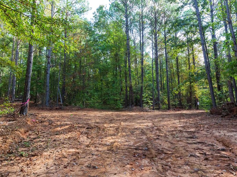 Raw Land for $999 Down : Sulligent : Lamar County : Alabama