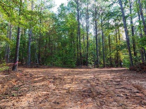 Raw Land for $999 Down : Sulligent : Lamar County : Alabama