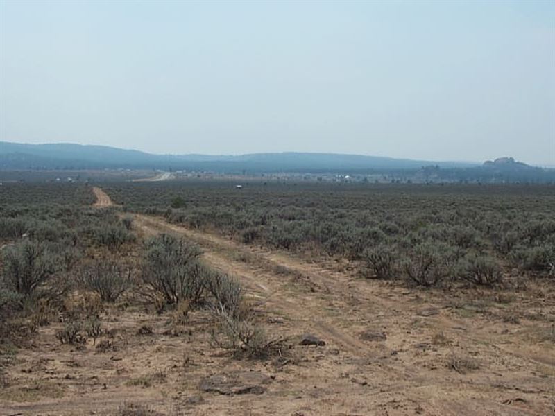 .25 Acre in Taos County, NM : Tres Piedras : Taos County : New Mexico