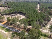 5 Ac Geneva Co, County Road 99 : Chancellor : Geneva County : Alabama