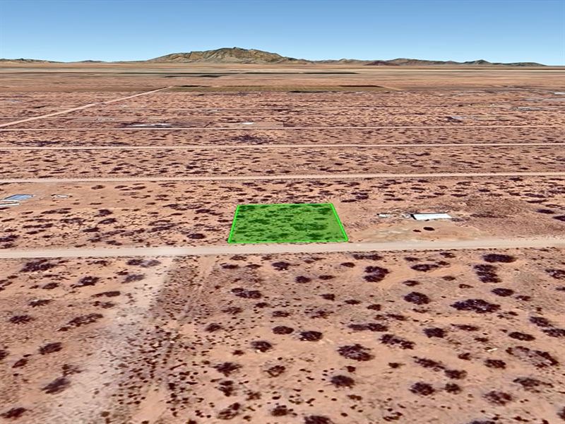 No Flood, No HOA, No Problem : Deming : Luna County : New Mexico