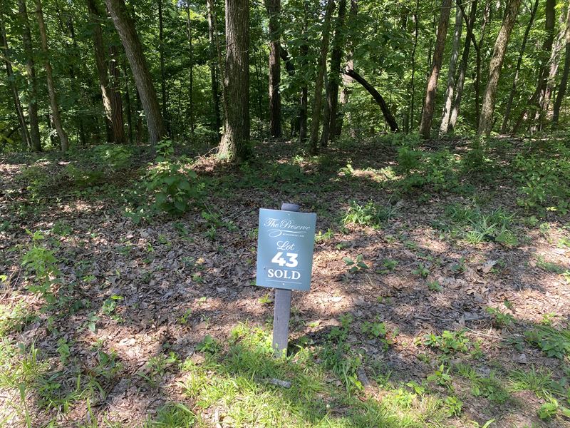 Building Lot in Gated Subdivision : Savannah : Hardin County : Tennessee