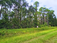 $200 Down for Lot, Water Access : Georgetown : Putnam County : Florida
