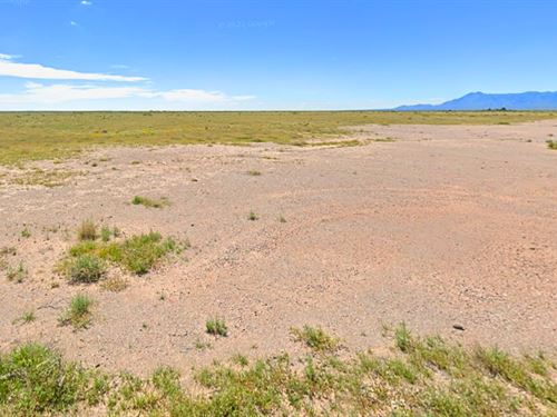 Quiet & Serene Remote Living in NM : Deming : Luna County : New Mexico