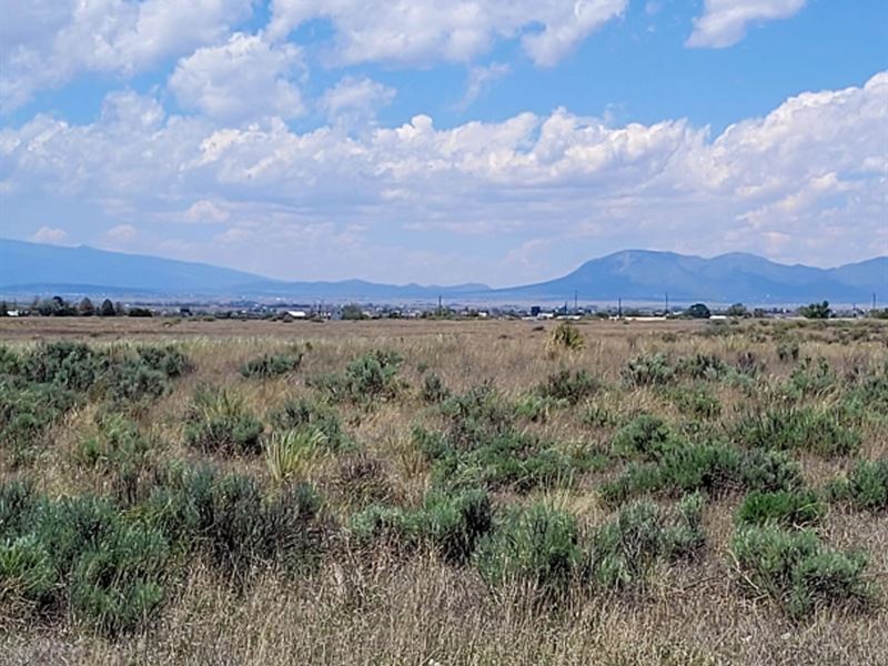 17.01 in Torrance County, NM : Moriarty : Torrance County : New Mexico