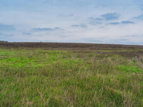 3.2+ Acres Near Austin, TX : Kingsbury : Guadalupe County : Texas