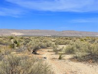 Build Homes with Road Access No HOA : Clint : El Paso County : Texas