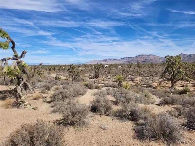 Breathtaking Lake Mead City 1.25 : Meadview : Mohave County : Arizona