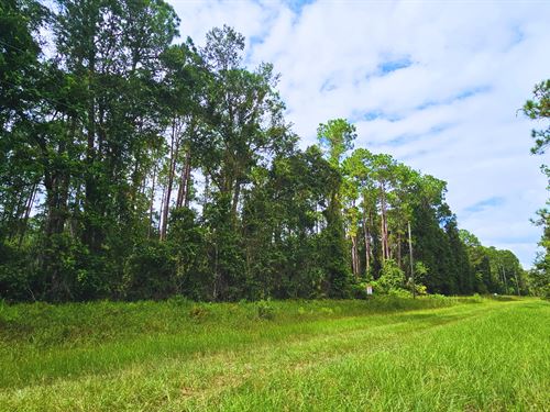 Build or Invest in Georgetown, FL : Georgetown : Putnam County : Florida