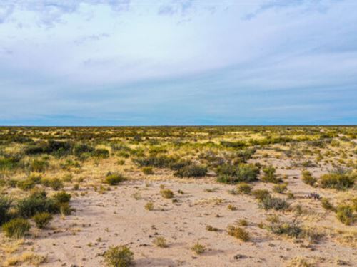 20 Acres Vs. Netflix Subscription : Sierra Blanca : Hudspeth County : Texas