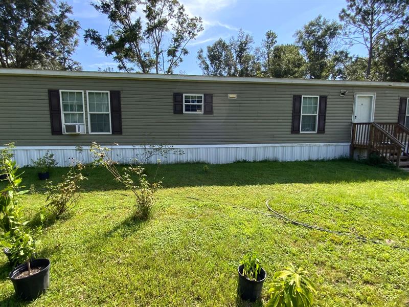 Lots Of Privacy : Mc Alpin : Suwannee County : Florida