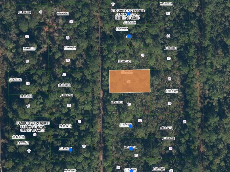 Dirt Road Treasure, $199 Down : Palatka : Putnam County : Florida