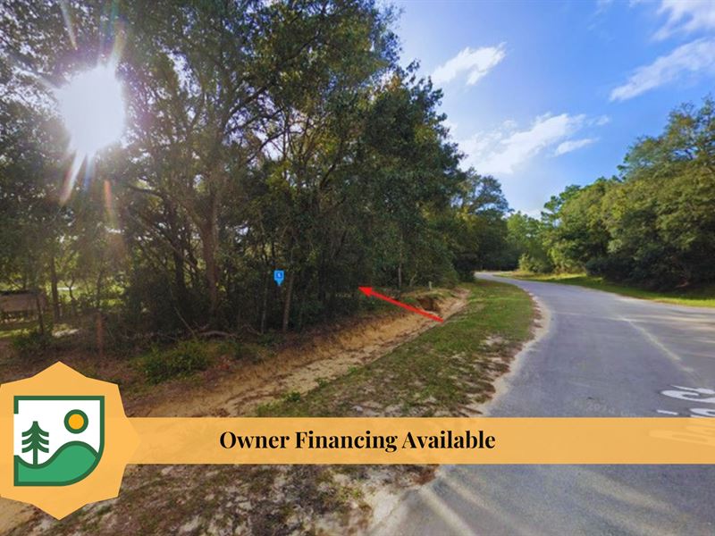 Private Camping Near Lake : Interlachen : Putnam County : Florida