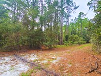 Home Sweet Home : Georgetown : Putnam County : Florida
