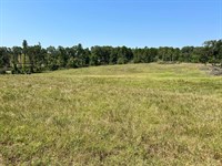 10 Acres, Ready to Build On, WA : Cave City : Independence County : Arkansas