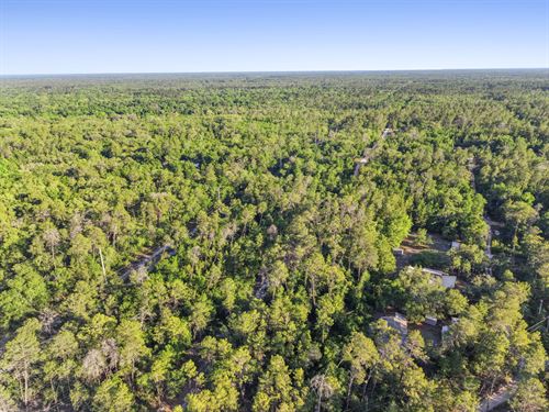 Affordable Satsuma FL Land $277/Mo : Satsuma : Putnam County : Florida