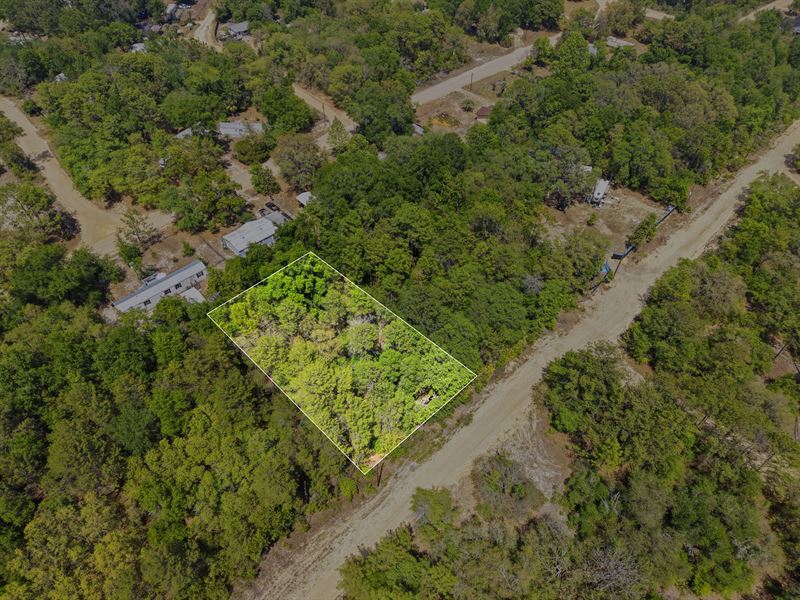 Plot in Interlachen, Fl, Only $287 : Interlachen : Putnam County : Florida