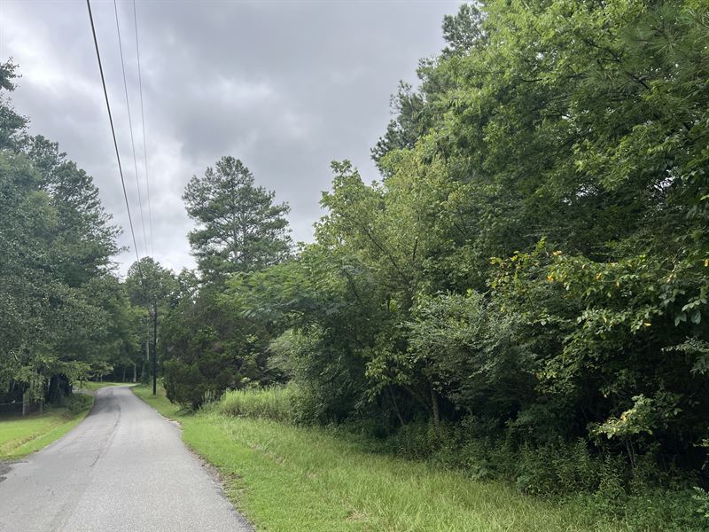 2.498 Acres Zoned A1 Bartow County : White : Bartow County : Georgia