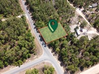 Sun Space & Serenity in Interlachen : Interlachen : Putnam County : Florida