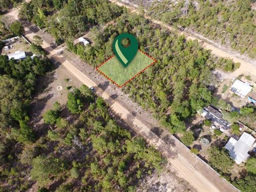 .24 Acres to Call Your Own : Interlachen : Putnam County : Florida