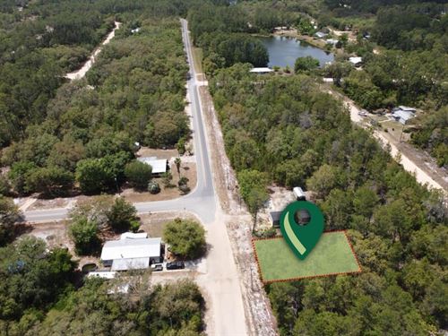 Escape The Noise : Interlachen : Putnam County : Florida