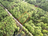 Seriously-Fl Lot Only $199/Mo : Georgetown : Putnam County : Florida