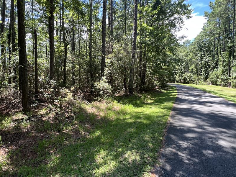 Waterfront Land, No HOA or Limits : Aurora : Beaufort County : North Carolina