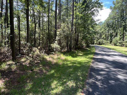 Waterfront Land, No HOA or Limits : Aurora : Beaufort County : North Carolina