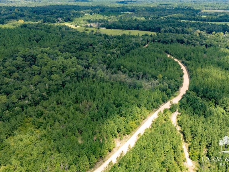 Alred Road Tract 3, 4.5 Ac : Westville : Holmes County : Florida
