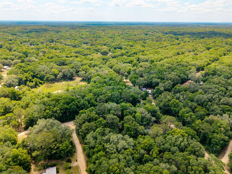 Florida Lot Build, Camp, Invest : Interlachen : Putnam County : Florida
