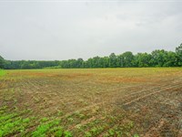 Duncanson Rd Lot 2 : Sardinia : Highland County : Ohio