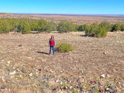 Walk to Concho Falls & Concho Lake : Concho : Apache County : Arizona