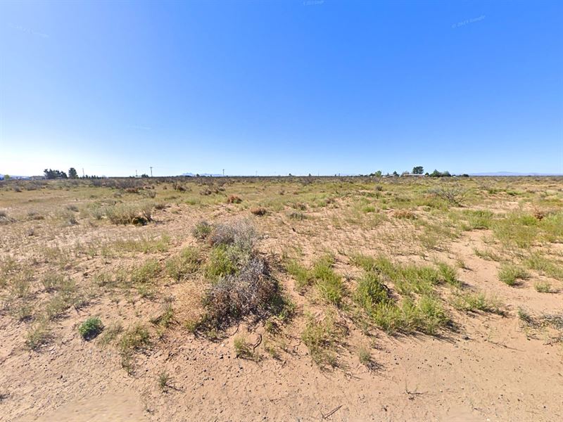 A Stargazers Dream : Deming : Luna County : New Mexico
