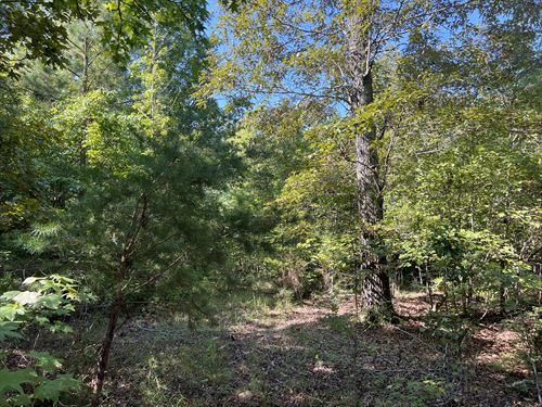 Lot 10 High Shoals Road : Anderson : South Carolina
