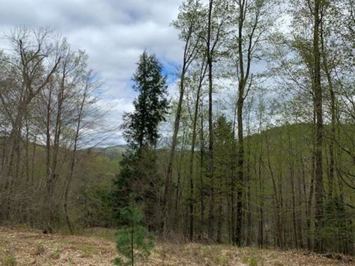 Alder Brook Parcel : Horicon : Warren County : New York