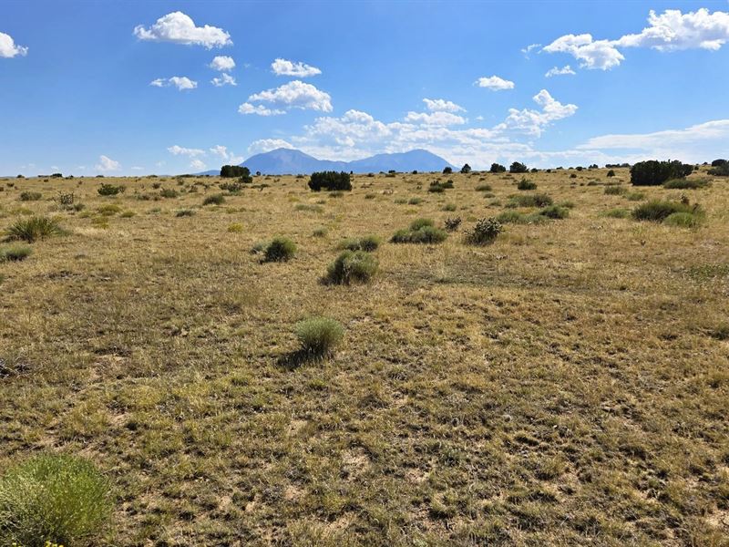 24 Rio Cucharas Phase 1, Walsenburg : Walsenburg : Huerfano County : Colorado